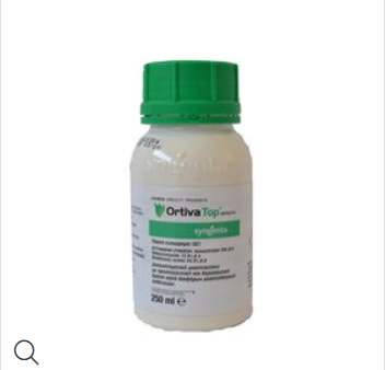 ORTIVA TOP