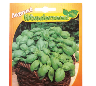 ΣΠΟΡΟΙ ΦΥΤΩΝ