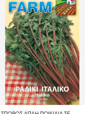 ΡΑΔΙΚΙ ΙΤΑΛΙΚΟ ΚΥΤ. 500 ΓΡΑΜΜΑΡΙΑ