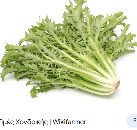 ΑΝΤΙΔΙ RROMANESCA ΚΥΤ. 500 ΓΡΑΜΜΑΡΙΑ