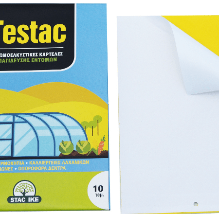 Παγίδα για Μύγες, Ψύλλους, Σφήκες, Δάκο,  Κουνούπια & Σκόρους 10τμχ