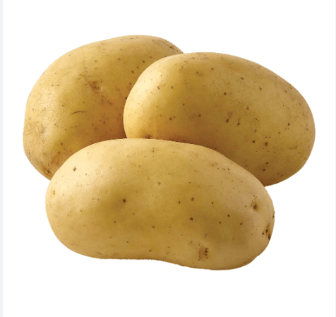 ΒΟΛΒΟΙ -ΚΟΝΔΥΛΟΙ-ΡΙΖΩΜΑΤΑ