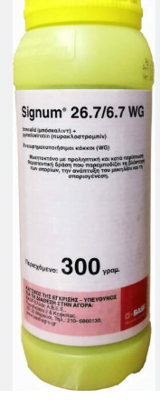 Signum WG Μυκητοκτόνο σε Κόκκους 300gr