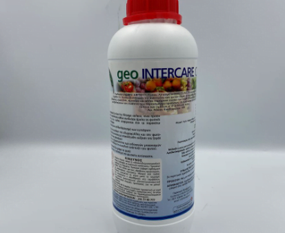 geo INTERCARE Cu 1 LIT