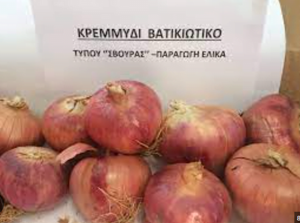 Κοκκάρι Βατικιώτικο 1 ΚΛ
