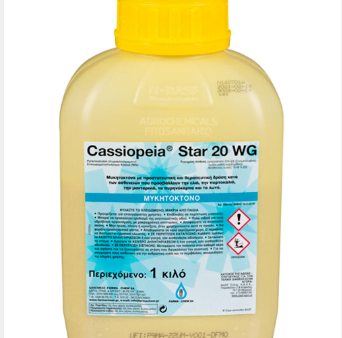 CASSIOPEIA STAR 20 WG 500 gr