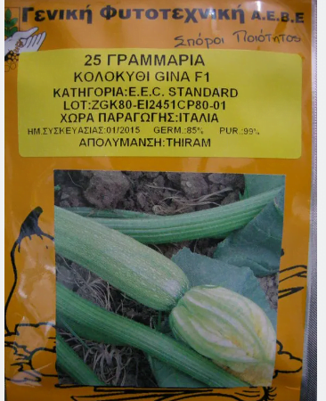 ΚΟΛΟΚΥΘΙ GINA 500 ΓΡ (2500 σπόροι)