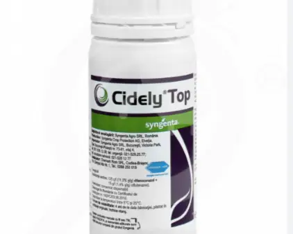 -CIDELY-TOP-500-CC