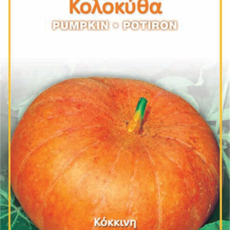 Σπόροι Κολοκύθας γλυκιά φάκελος