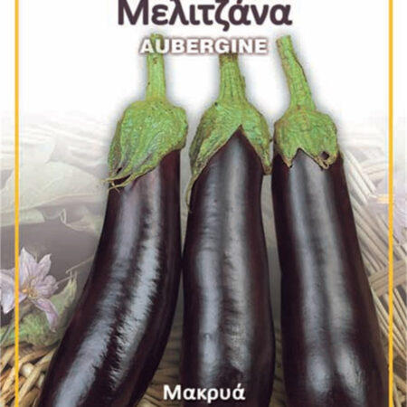 Gemma Σπόροι Μελιτζάνας 2gr