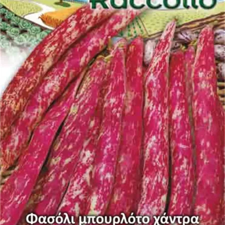 Gemma Σπόροι Φασολιού 65gr