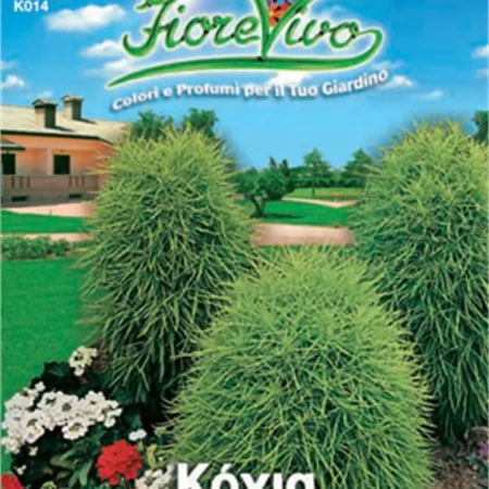 Gemma Σπόροι Κόχια 1gr