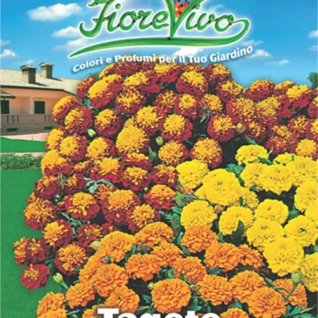 Gemma Σπόροι Κατηφές 0.9gr