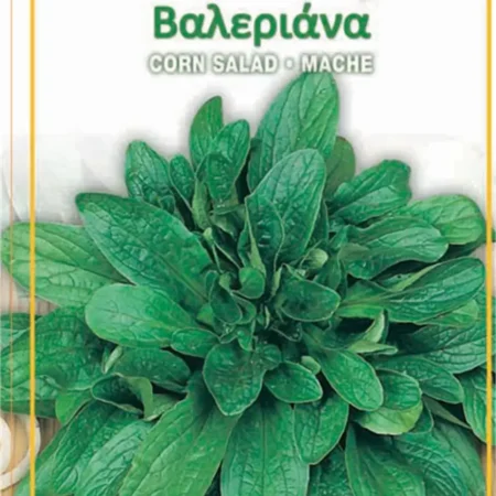 Gemma Σπόροι Βαλεριάνας 0.8gr