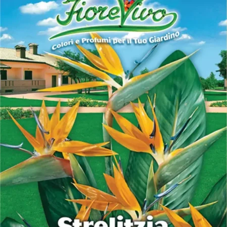 Σπόροι Στρελίτσιας