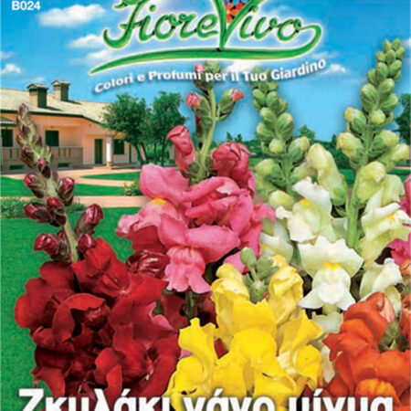 Σπόροι Σκυλάκι νάνο μίγμα