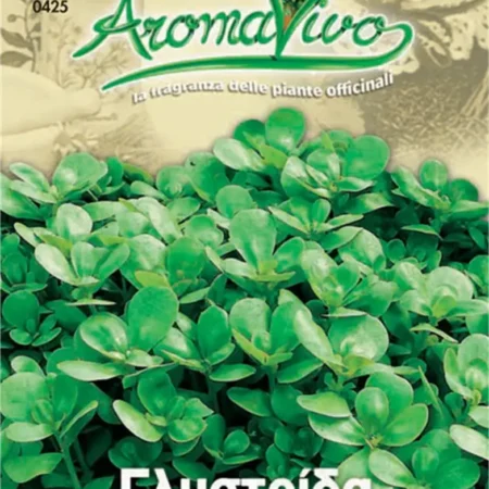 Gemma Σπόροι Γλυστρίδας ( Αντράκλα) 3gr