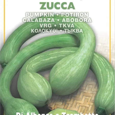 Gemma Σπόροι Κολοκυθιού 4.5gr