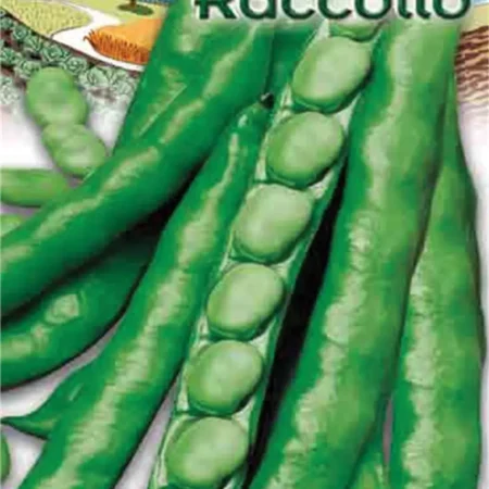 Gemma Σπόροι Κουκιών 50g