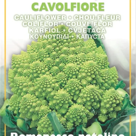 Gemma Σπόροι Κουνουπιδιού 3gr