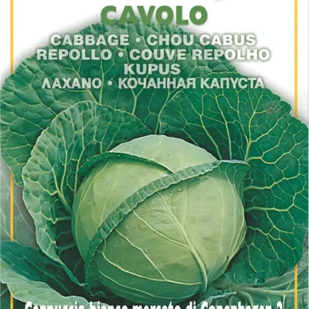 Gemma Σπόροι Λάχανου 5gr