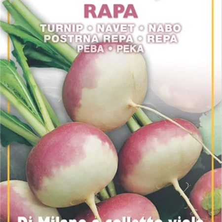 Gemma Σπόροι Ρέβα 10g