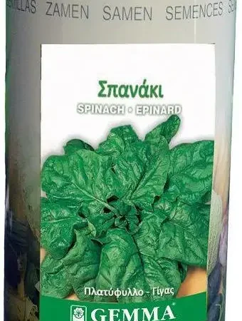 Gemma Σπόροι Σπανακιού 5kg