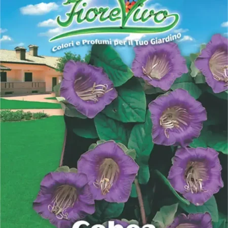 Gemma Σπόροι Κομπέα 0.3gr/5τμχ