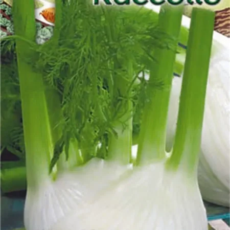 Gemma Σπόροι Φινόκιο 25g