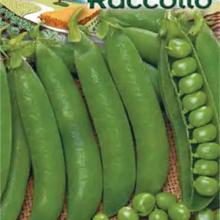 Gemma Σπόροι Αρακά 65gr