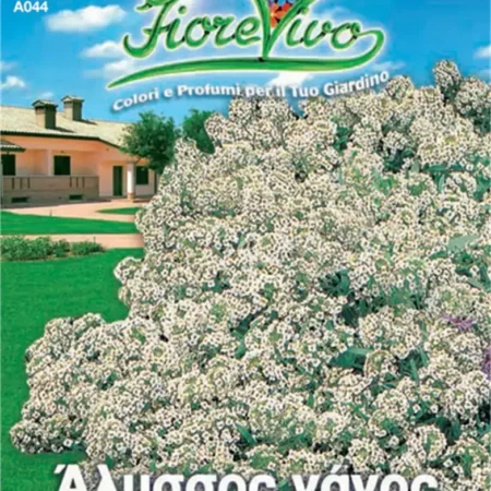 Gemma Σπόροι Άλυσσο 0.6gr