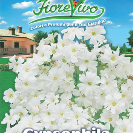 Gemma Σπόροι Γυψοφίλη 25gr