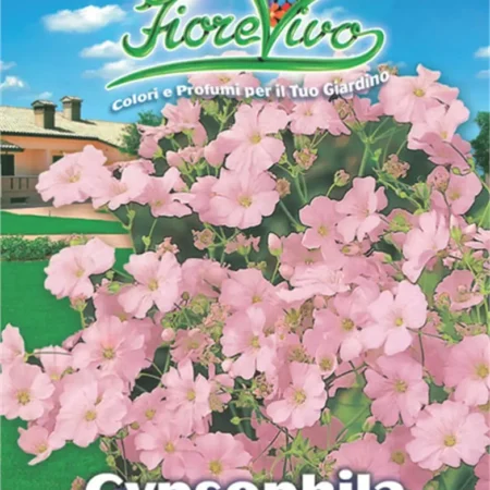 Gemma Σπόροι Γυψοφίλη 1gr