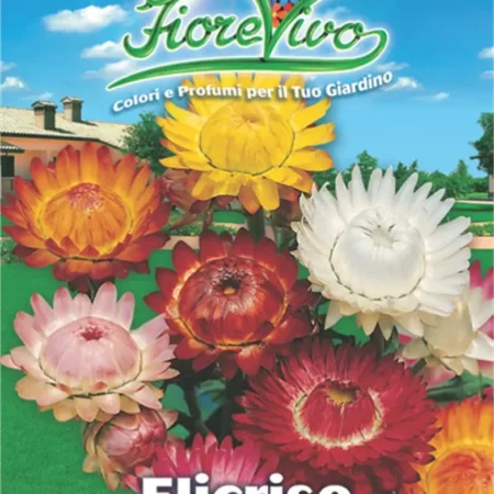 Gemma Σπόροι Ελίχρυσου 0.5gr