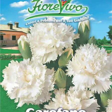 Gemma Σπόροι Γαρύφαλλο 0.4gr