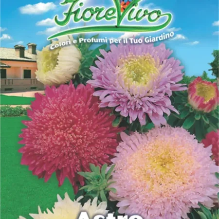 Gemma Σπόροι Άστερ 1gr