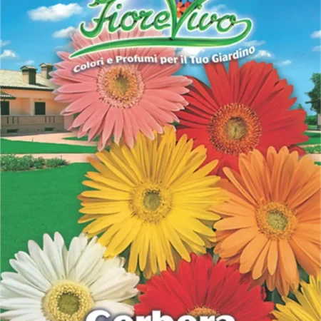 Gemma Σπόροι Ζέμπερας 5gr