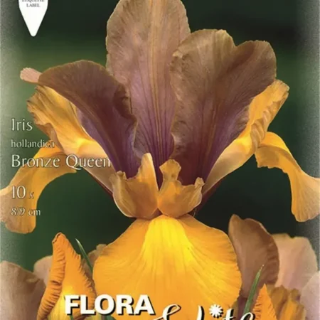 Gemma Βολβoί Ίριδας 10τμχ