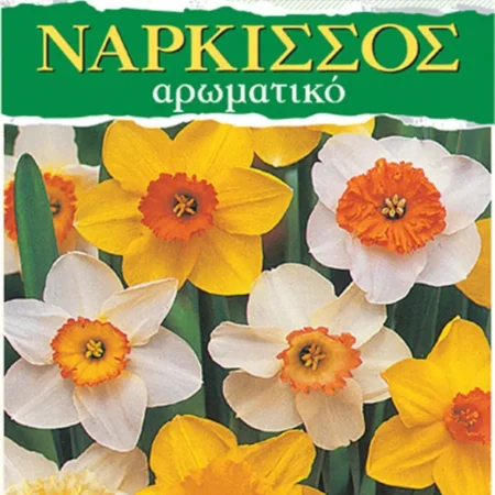 Gemma Βολβoί Νάρκισσου 3τμχ