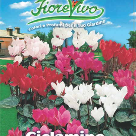 Gemma Σπόροι Κυκλάμινου 1gr