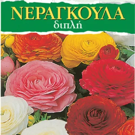 Gemma Βολβoί Νεραγκούλας 5τμχ