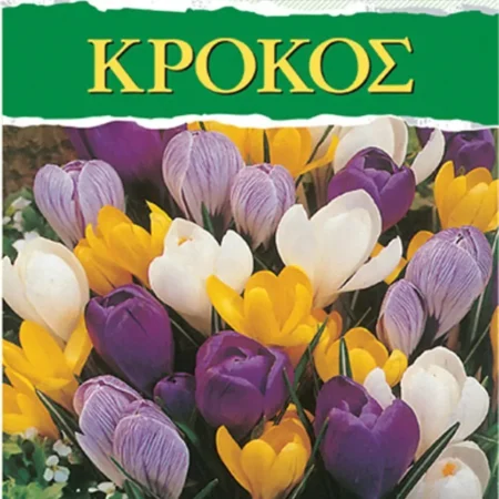 Gemma Βολβoί Κρόκου 5τμχ