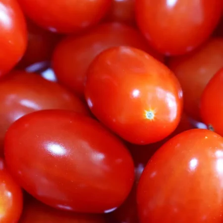 Τομάτα Ornela F1 τύπου cherry 500σπόρων Hazera