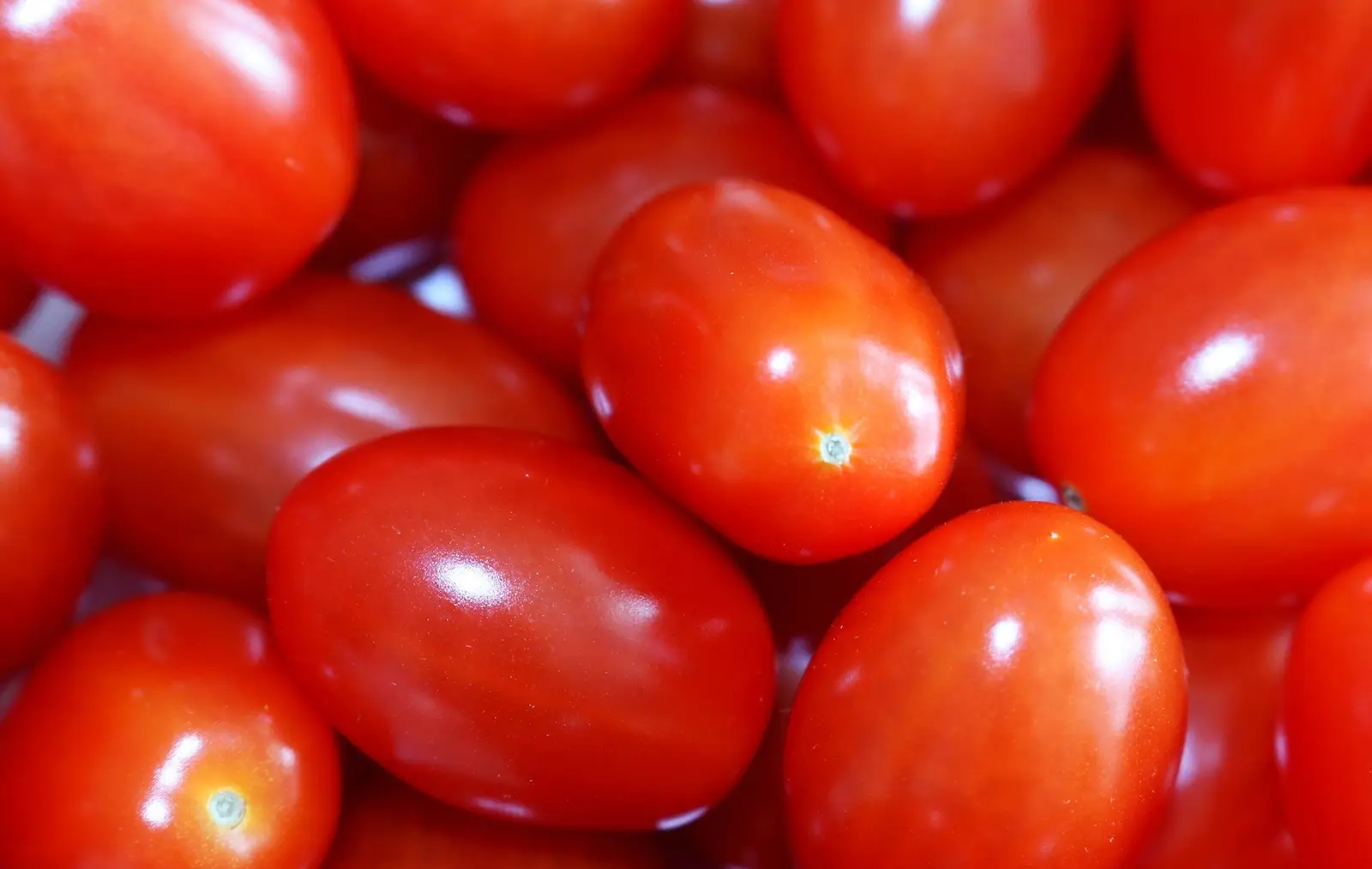 Τομάτα Ornela F1 τύπου cherry 500σπόρων Hazera