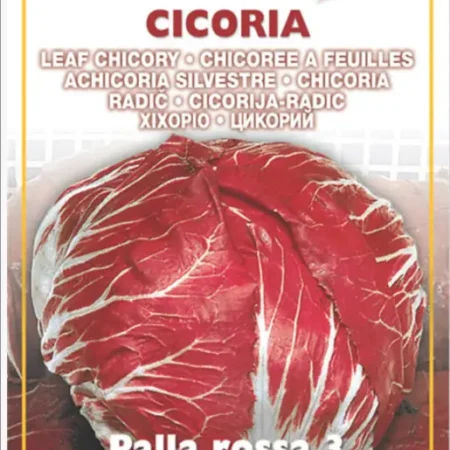 Gemma Σπόροι Χιχόριο 10gr