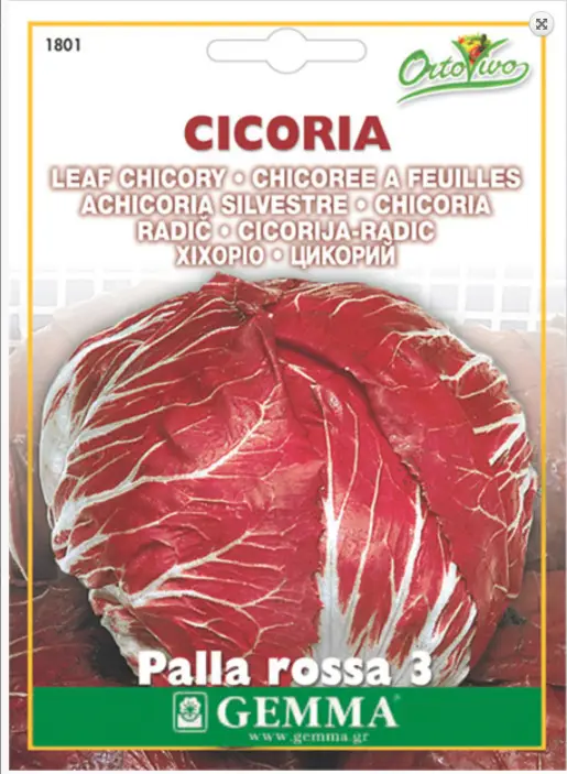 Gemma Σπόροι Χιχόριο 10gr