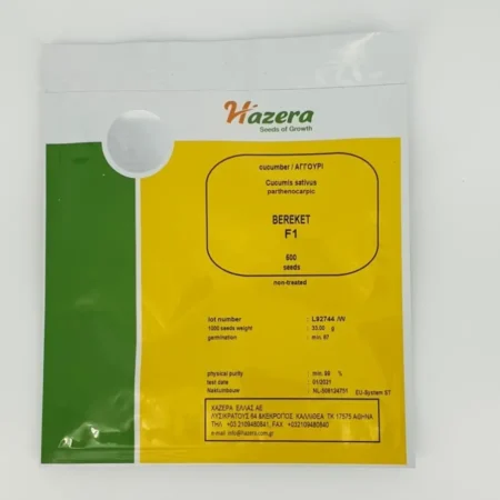 Αγγούρι κοντό Bereket F1 500σπόρων Hazera