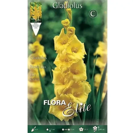 Gemma Nova Lux 10 Σπόροι