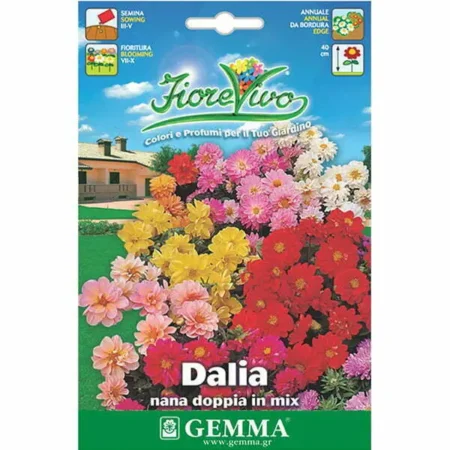 Gemma Σπόροι Ντάλιας