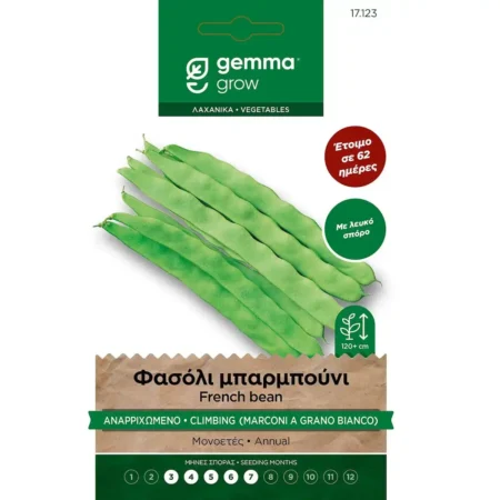 Gemma Σπόροι Φασολιού Μπαρμπούνι Αναρριχώμενο